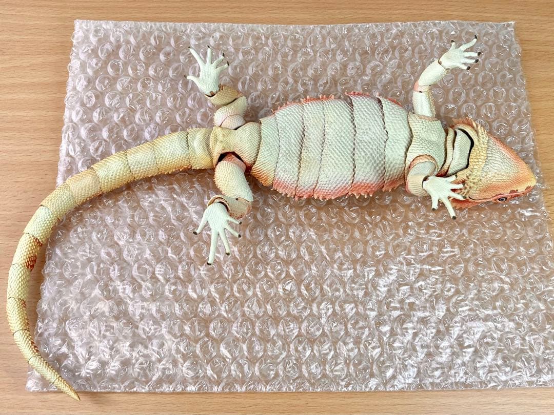 いきもの大図鑑プレミアム　フトアゴヒゲトカゲ（レッド）