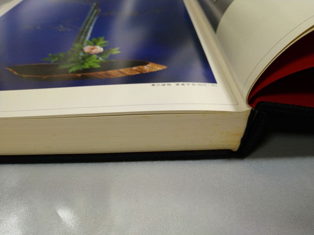 煎茶道 小笠原流煎茶道教本 全365頁 煎茶 小笠原流