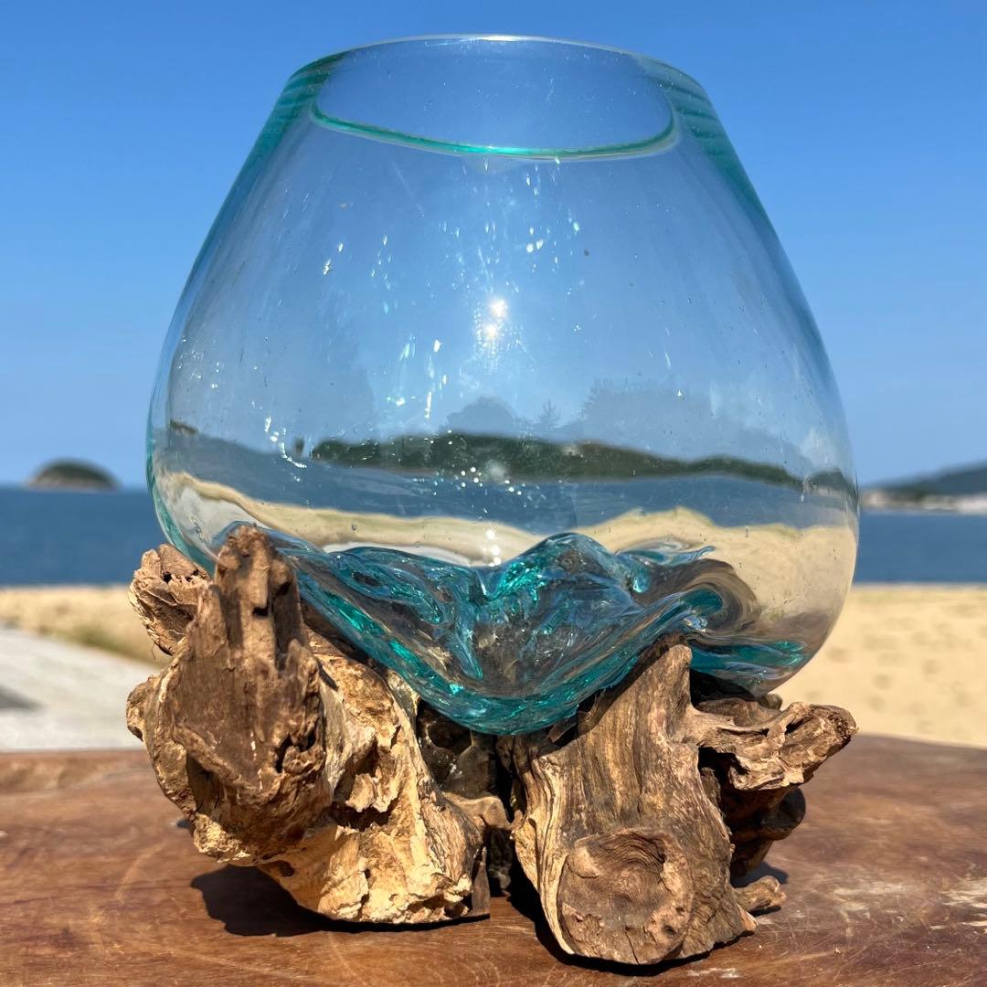 流木ガラス オブジェ中R 花瓶 金魚鉢 ガーデニング テラリウム 観賞魚 容器
