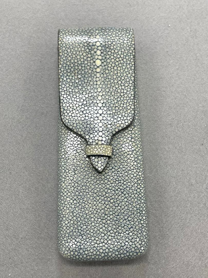 【希少素材•未使用】GANZO ガンゾ スティングレイ ガルーシャ　ペンケース