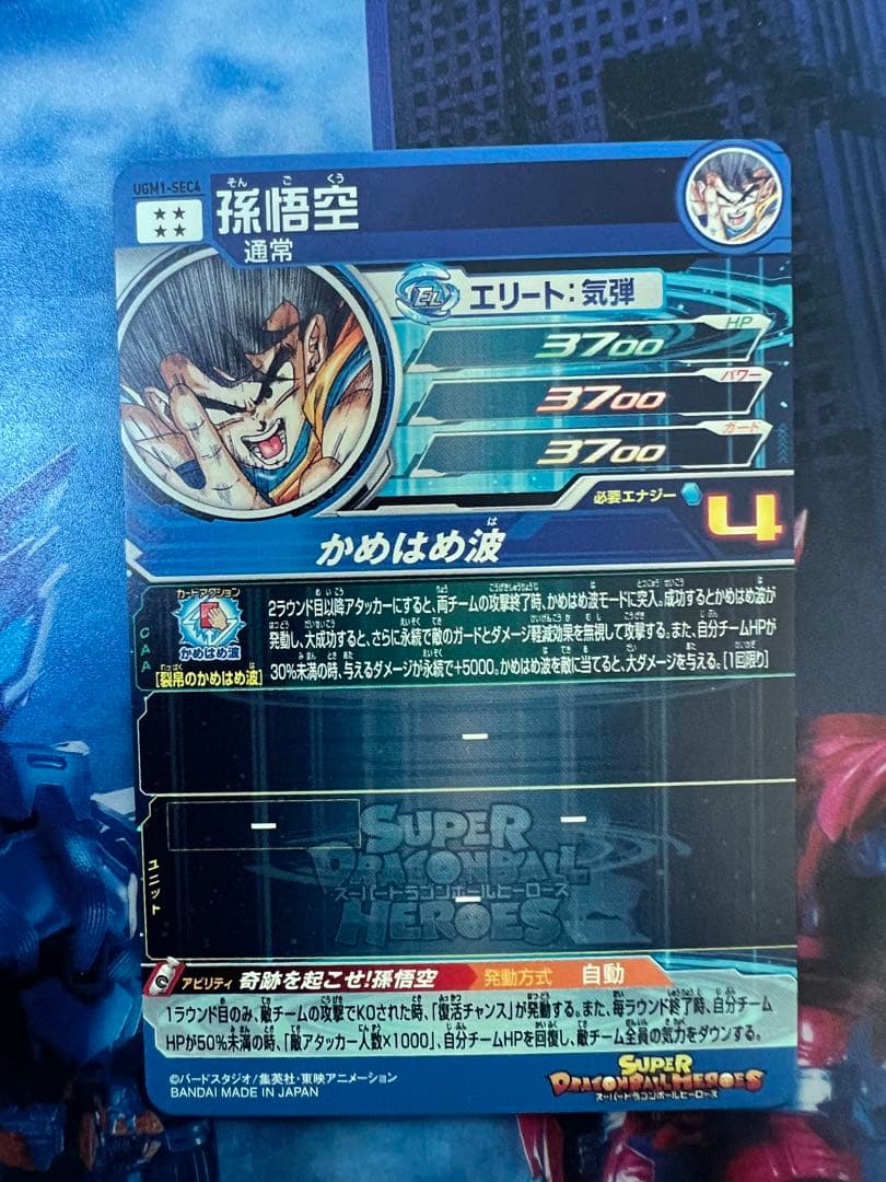 UGM1-sec4 孫悟空 0122