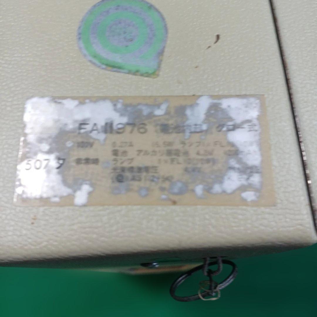 非常口表示サイン 壁掛け式 緑色 約30cm