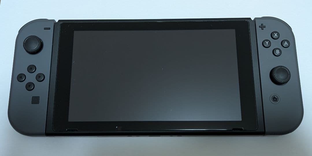 Nintendo Switch 本体 グレー 付属品付
