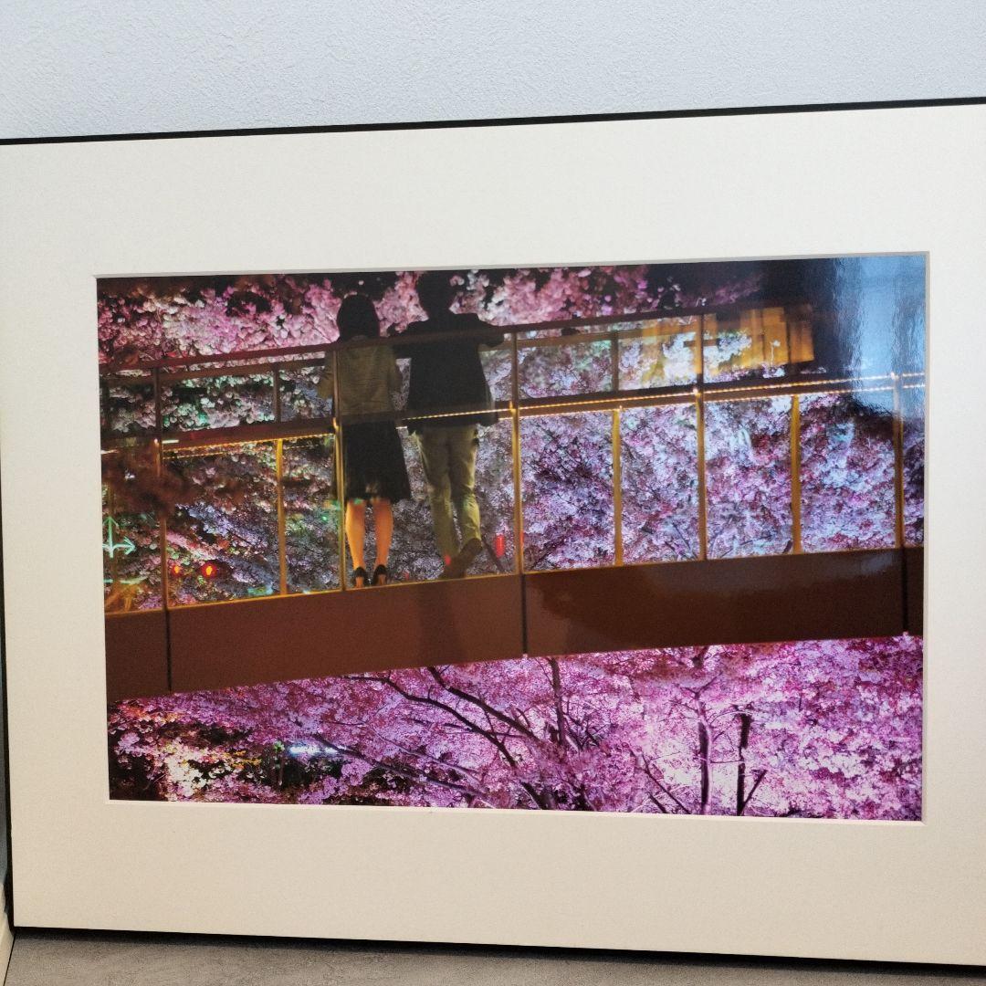 夜桜 写真作品 額装 アートパネル ピンク 紫 インテリア
