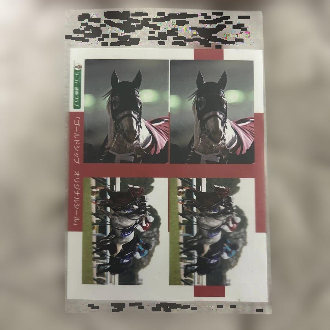 M*i様 ゴールドシップ　写真集&DVD 黄金の帆を掲げて