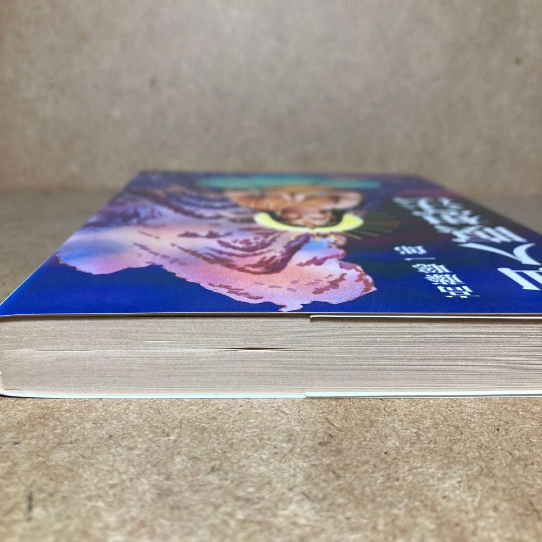 仙人瞑想法　高藤 聡一郎