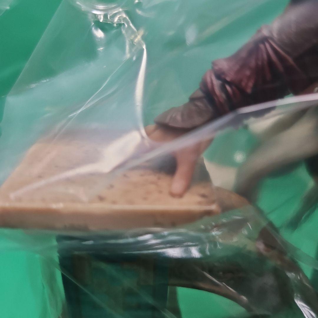 【新品】アサシン クリード ミラージュ コレクターズエディション フィギュア