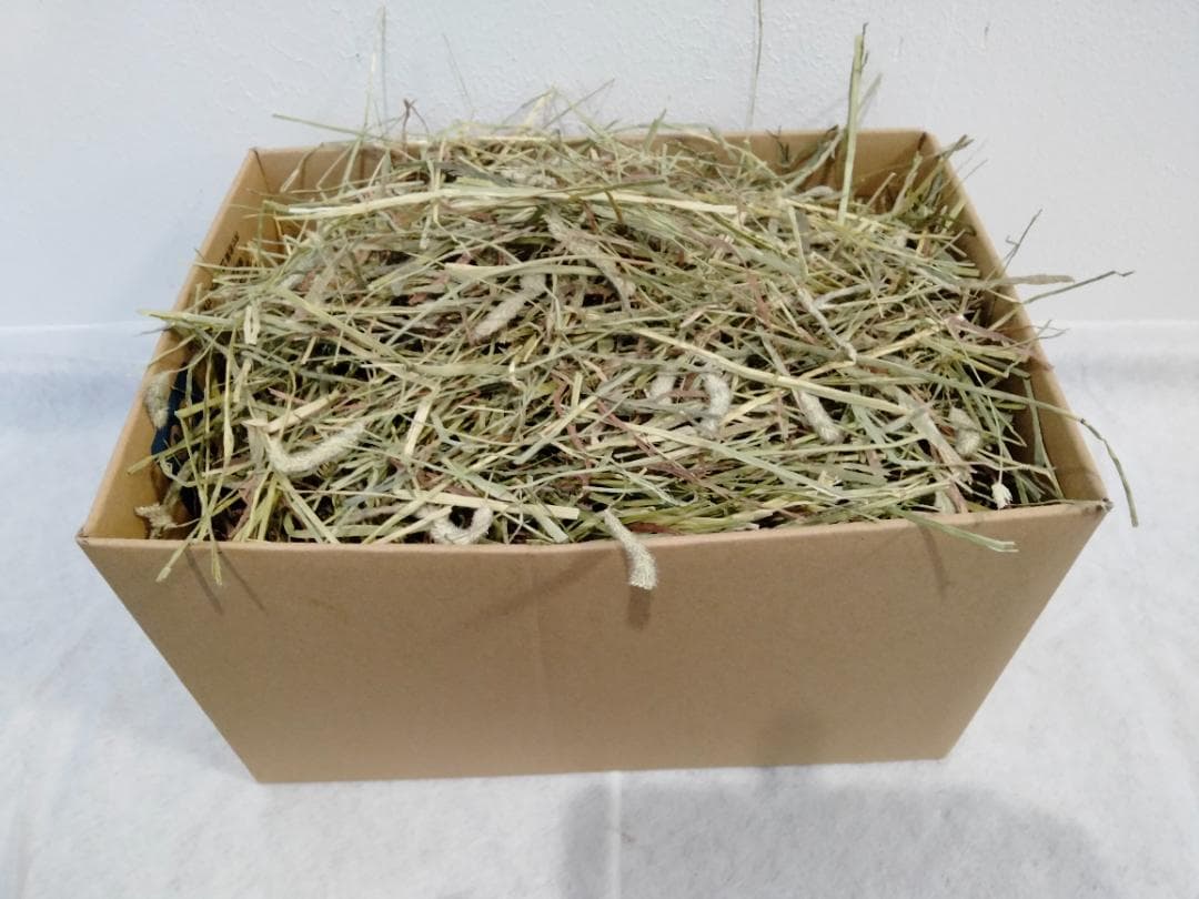 【5/11まで】 カナダ産 チモシー 60kg スーパープレミアム １番刈り