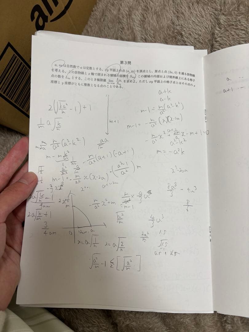 鉄緑会　高3数学　入試数学演習第37回冊子