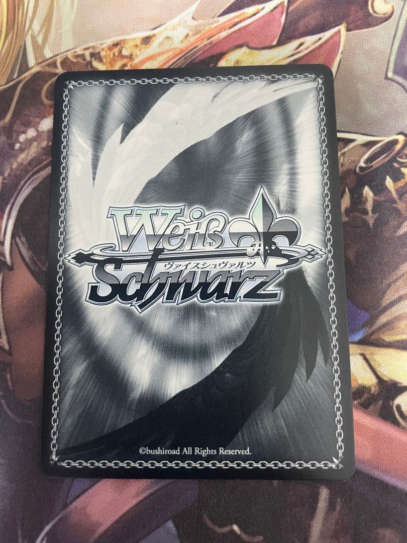 ヴァイスシュヴルツ GGO最強のスナイパー シノン