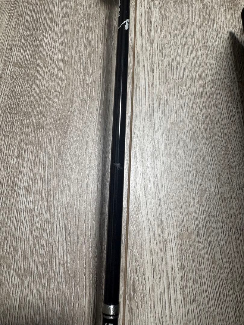 ゼスタ　スローエモーション　B5101