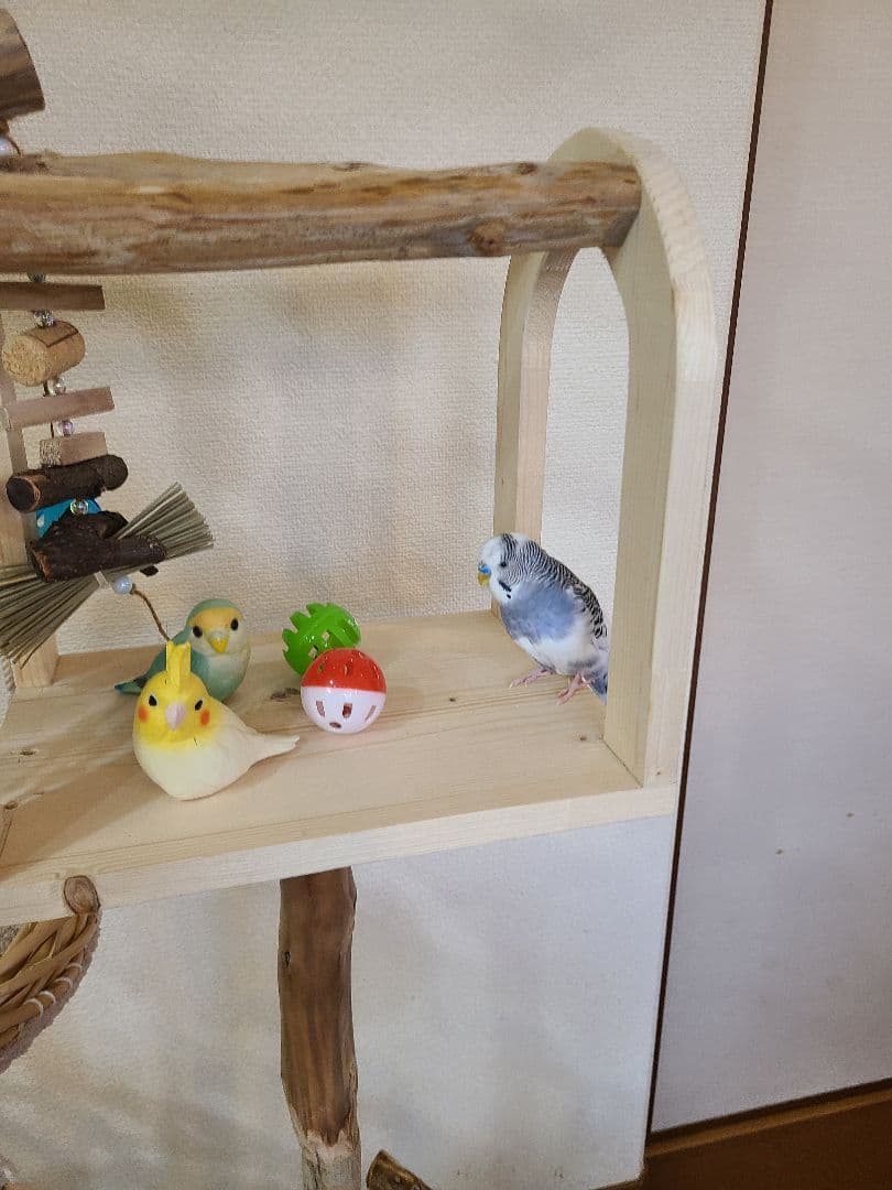 y4gesページ＊　バードアスレチック　ハンドメイド　流木