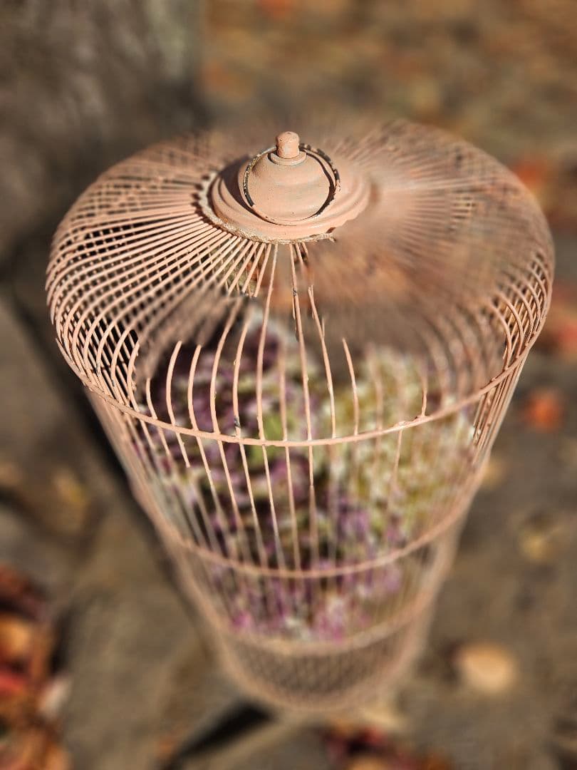 フランスアンティーク風　鳥かご　ピンク　シャビー　ブロカント