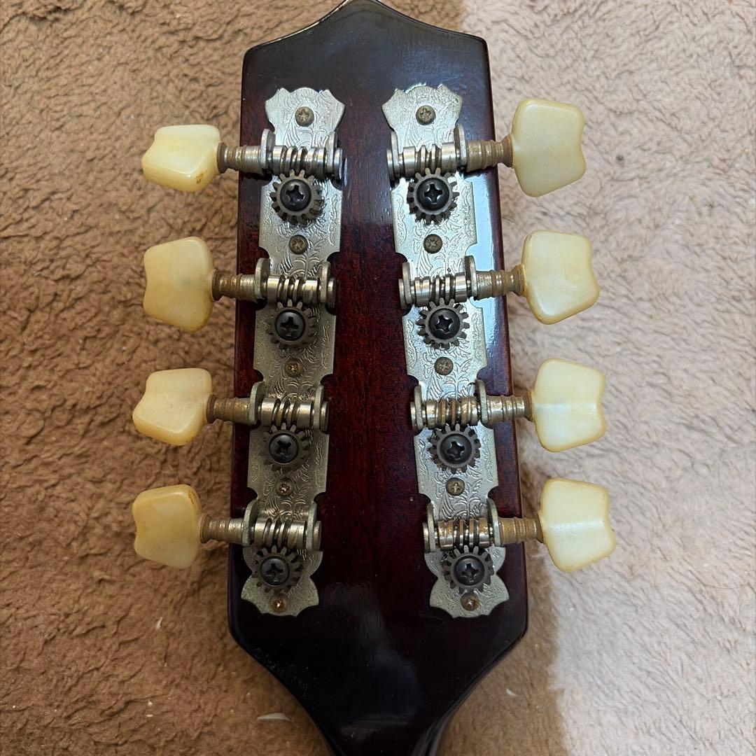 フラットマンドリン　MAVIS