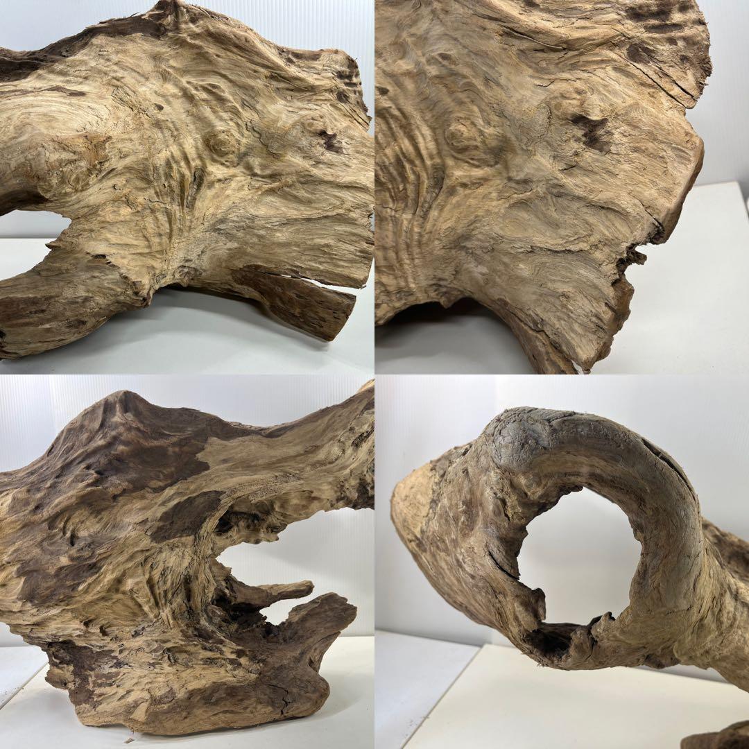 m61特大流木 アク抜き済み 爬虫類シェルター レイアウト用 登り木 インテリア