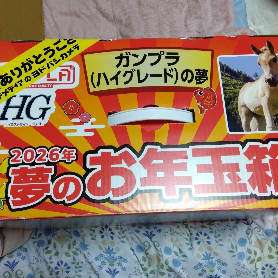 ガンプラ (ハイグレード)の夢 お年玉箱 2026年