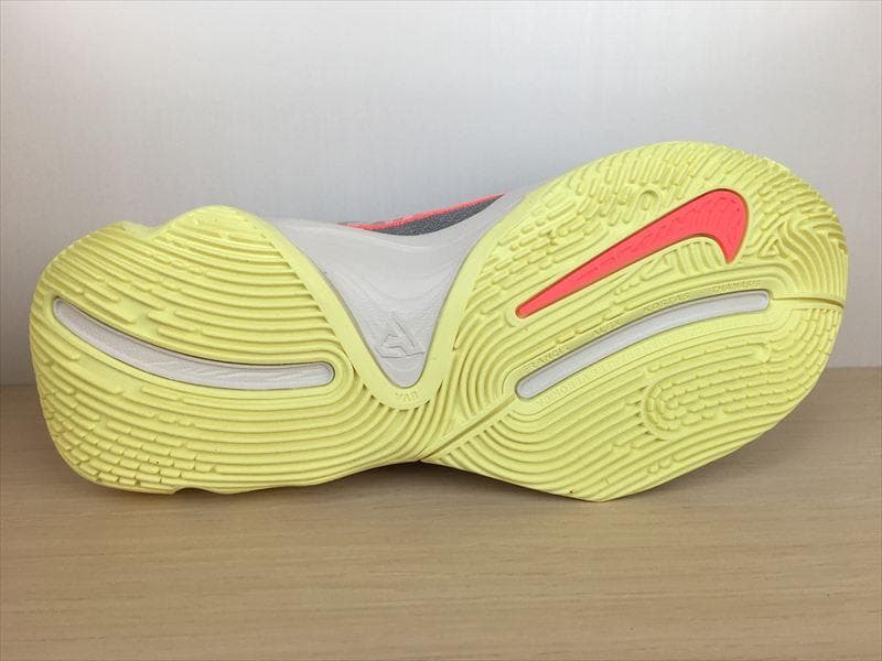 ナイキ ヤニスイモータリティ4 EP 靴 25,0cm 新品 (2379)