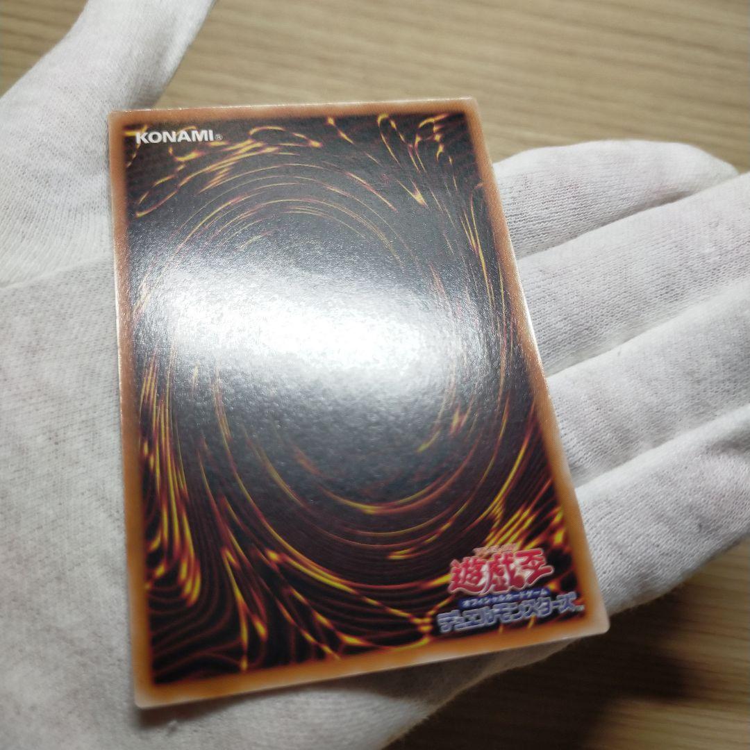 遊戯王 ブラック・パラディン レリーフ