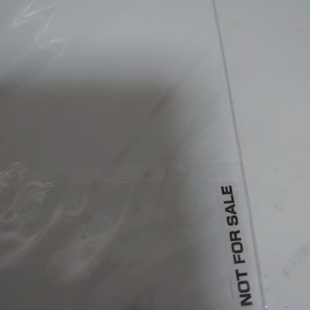 当選品 サイドキックス ノラ 直筆メッセージ カード