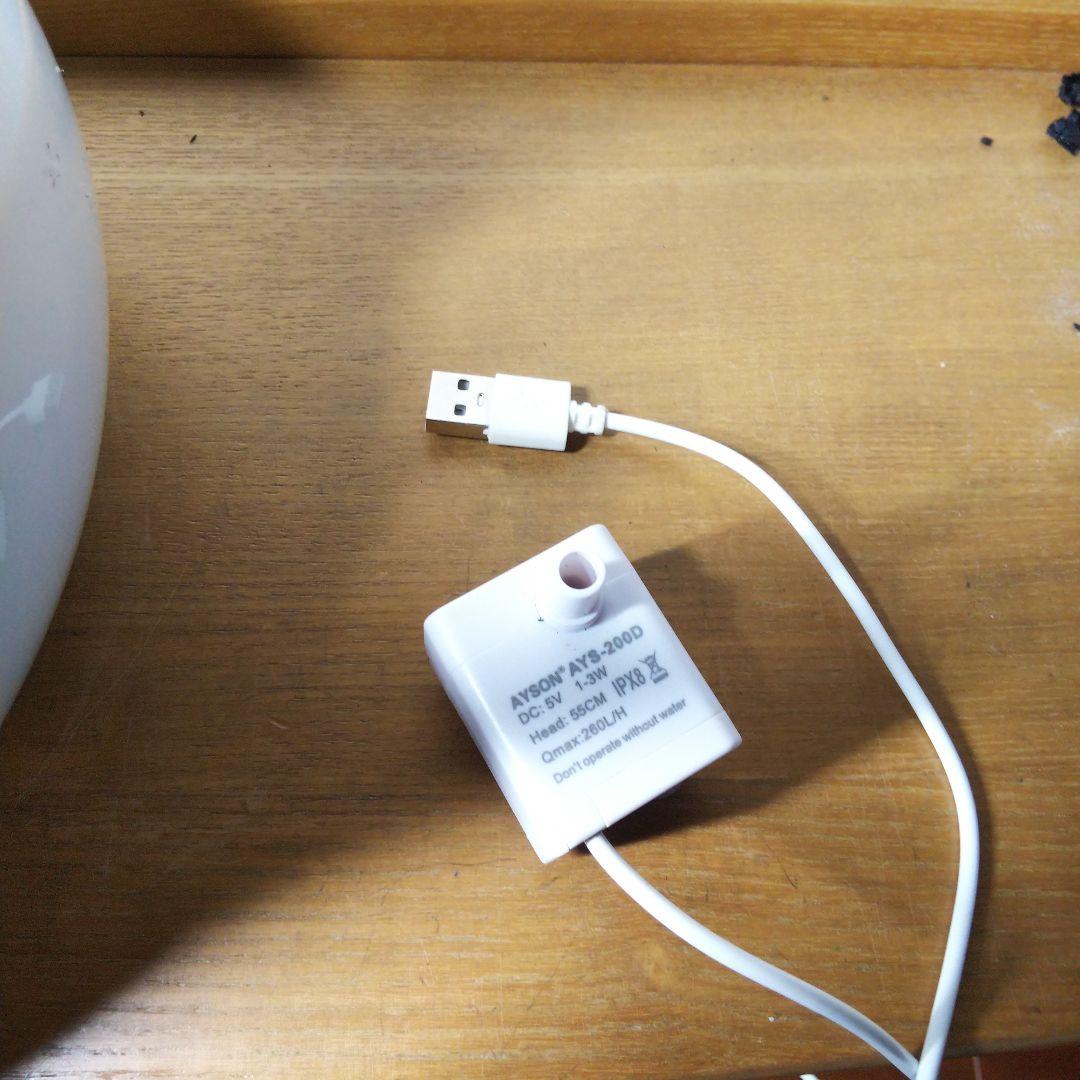 【完成品】滝の流れるアクアテラリウム　イモリウム　苔　　アクアテラリウム完成品