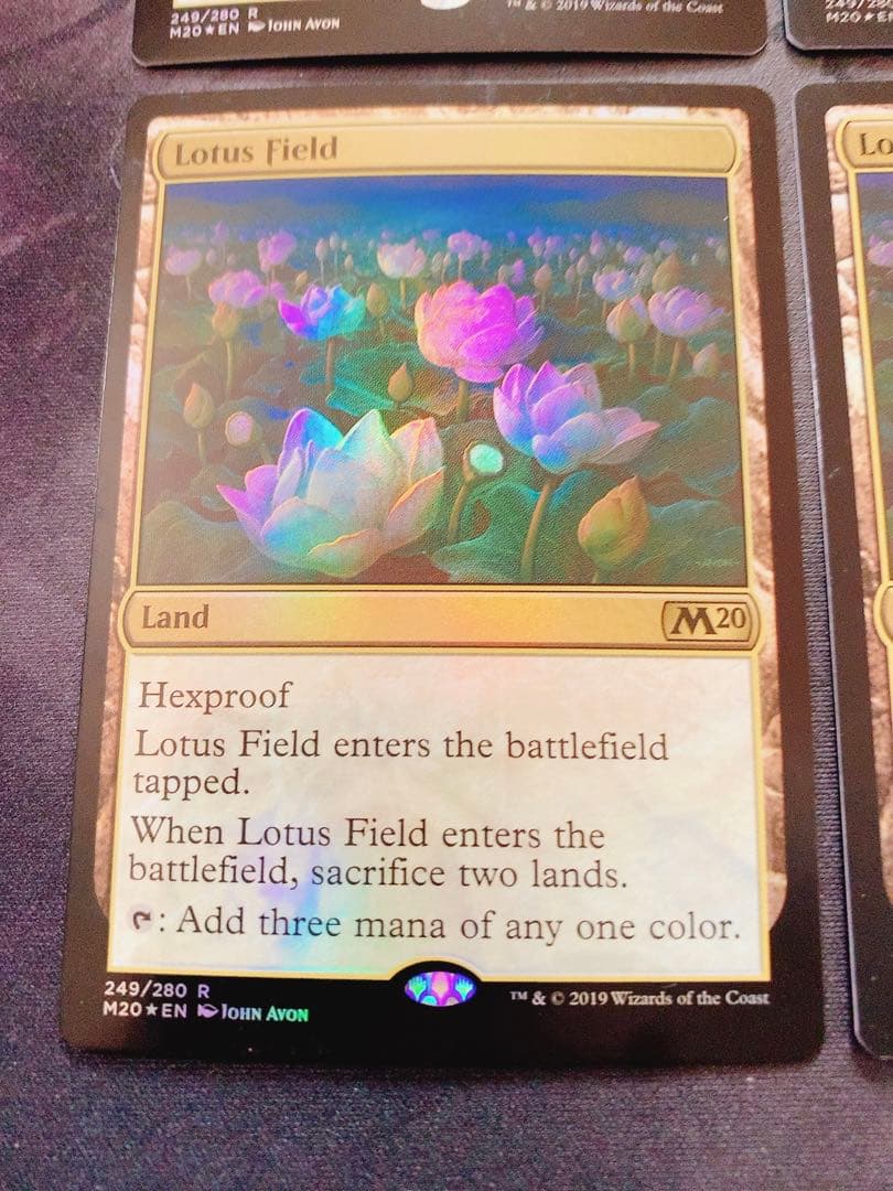 【foil】睡蓮の原野　英語　4枚セット