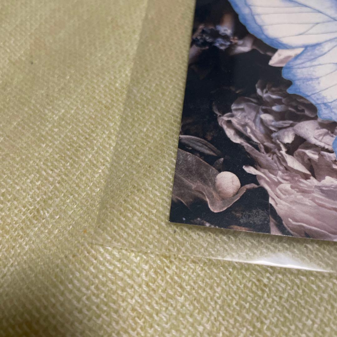 Aimer 直筆サイン入り　アナザージャケット　2018 限定