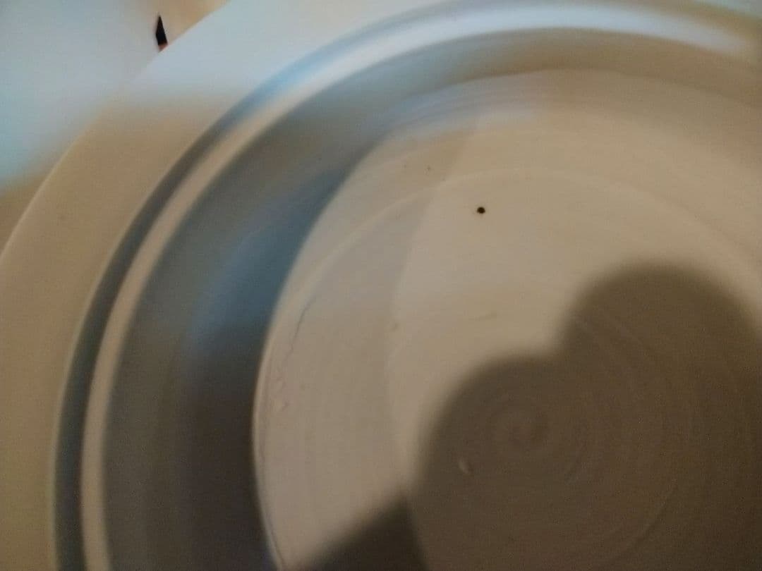 未使用保管品 高麗陶房 宮岡 英夫 白磁 千鳥 香炉 茶道具 共箱＆共布付