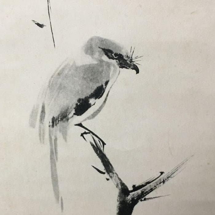 Y 中古 宮本武蔵 掛け軸 枯木鳴鵙 こぼくめいげき 鳥 骨董品 古美術 S