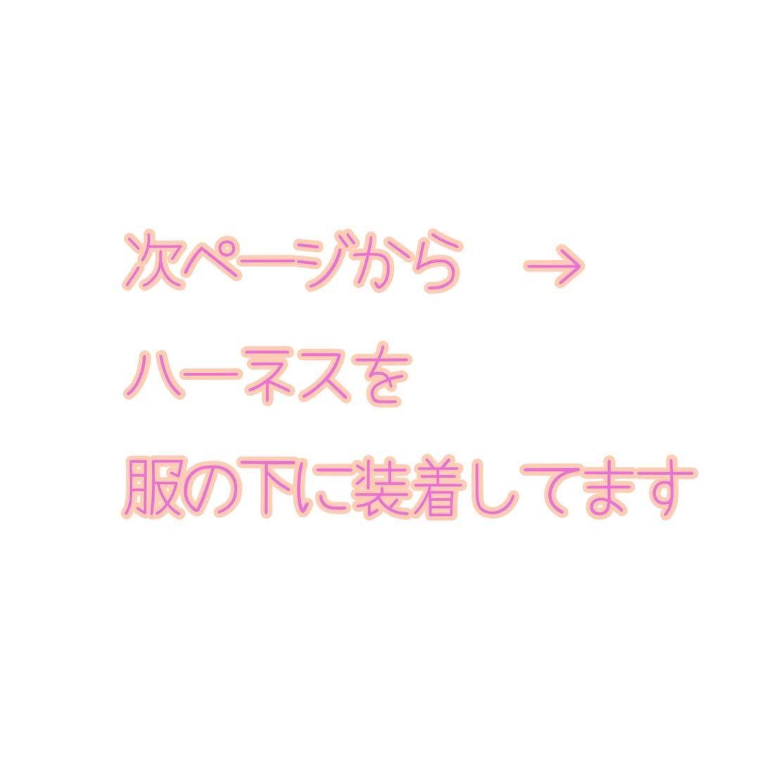 SixTONES用/カラーハーネス▷オーダーページ　ストぬい紛失防止