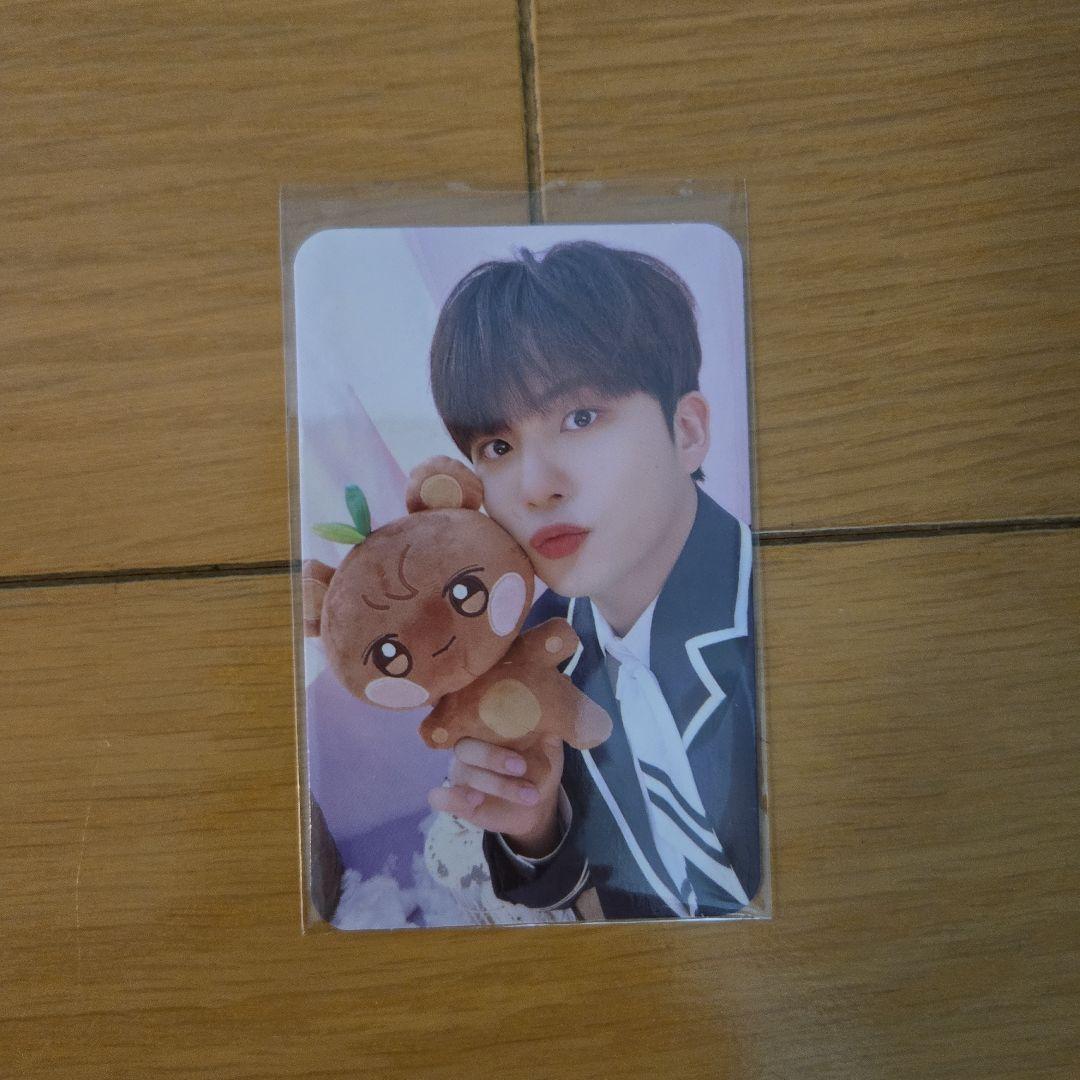 ANITEEZ JJONGbear ぬいぐるみ