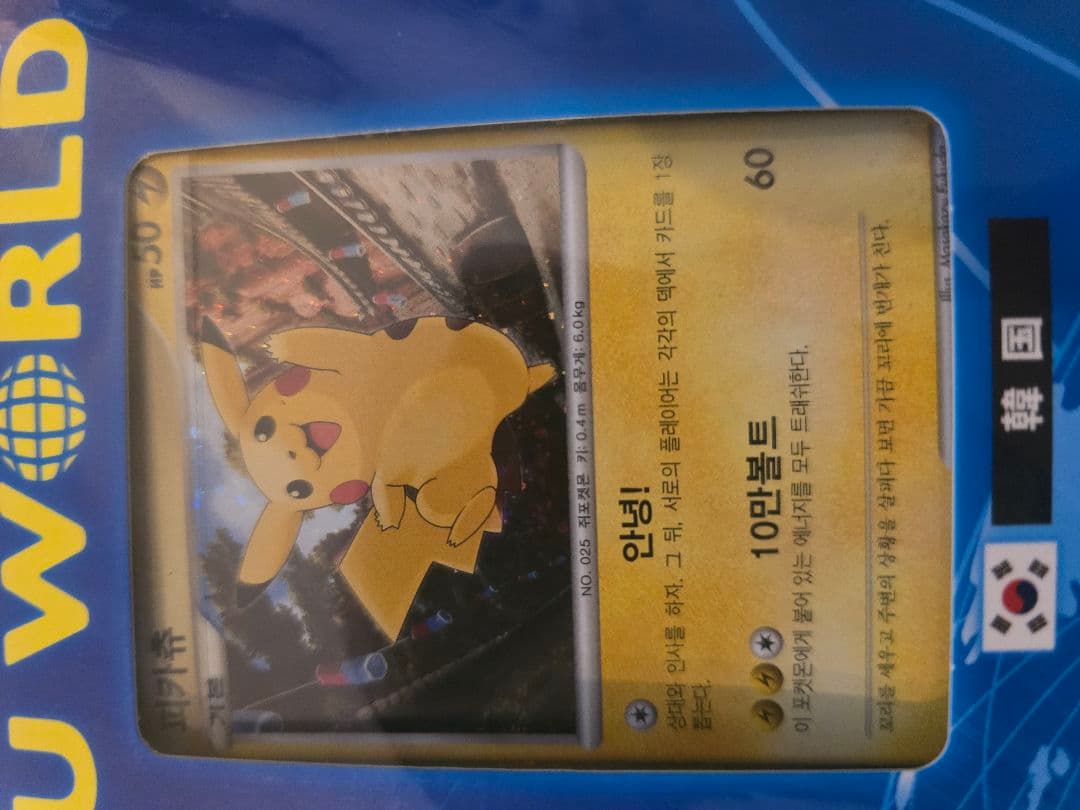 ポケモンカード【ピカチュウワールドコレクション2010】未開封