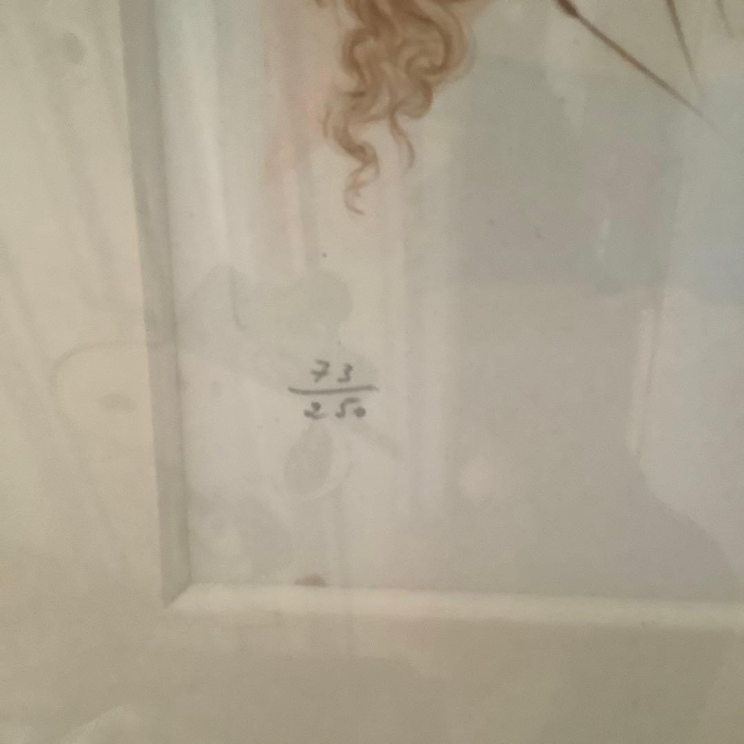 サルバドール・ダリ【至上の愛ーソロモンの歌より】銅版画、他