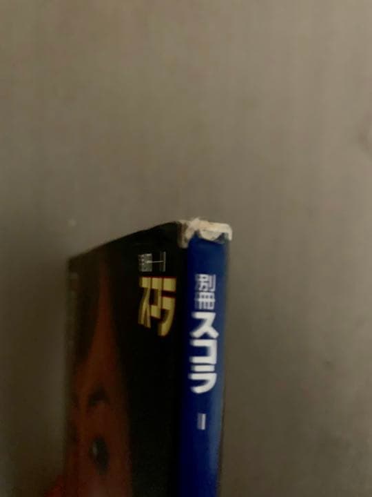 岡江久美子 写真集　【華やかな自転】　別冊スコラ　講談社　マイク岡田