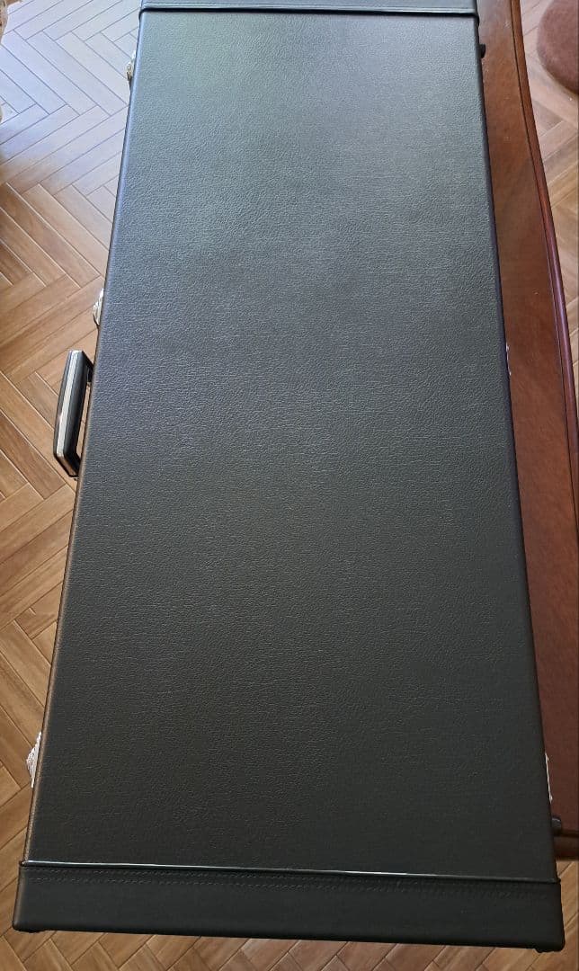 pinkspider　フェルナンデス MG-145S ハードケース