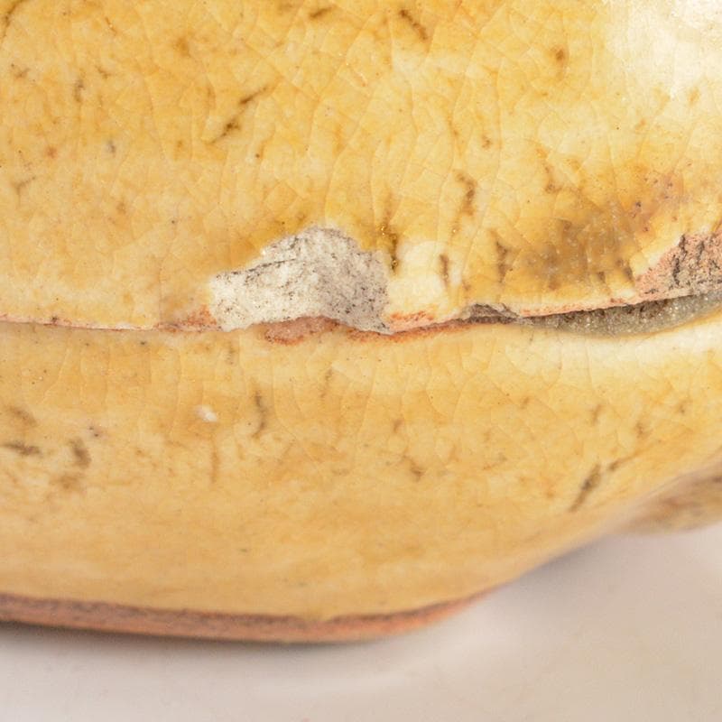 茶道具　黄瀬戸　古瀬戸　獅子　香合　時代箱付　V　6295