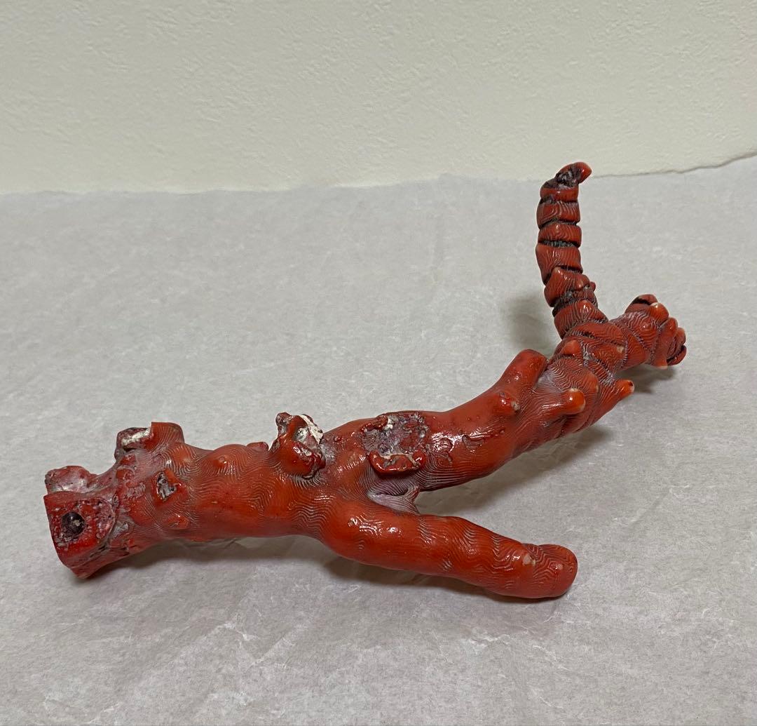 赤珊瑚　原木　天然　約410g