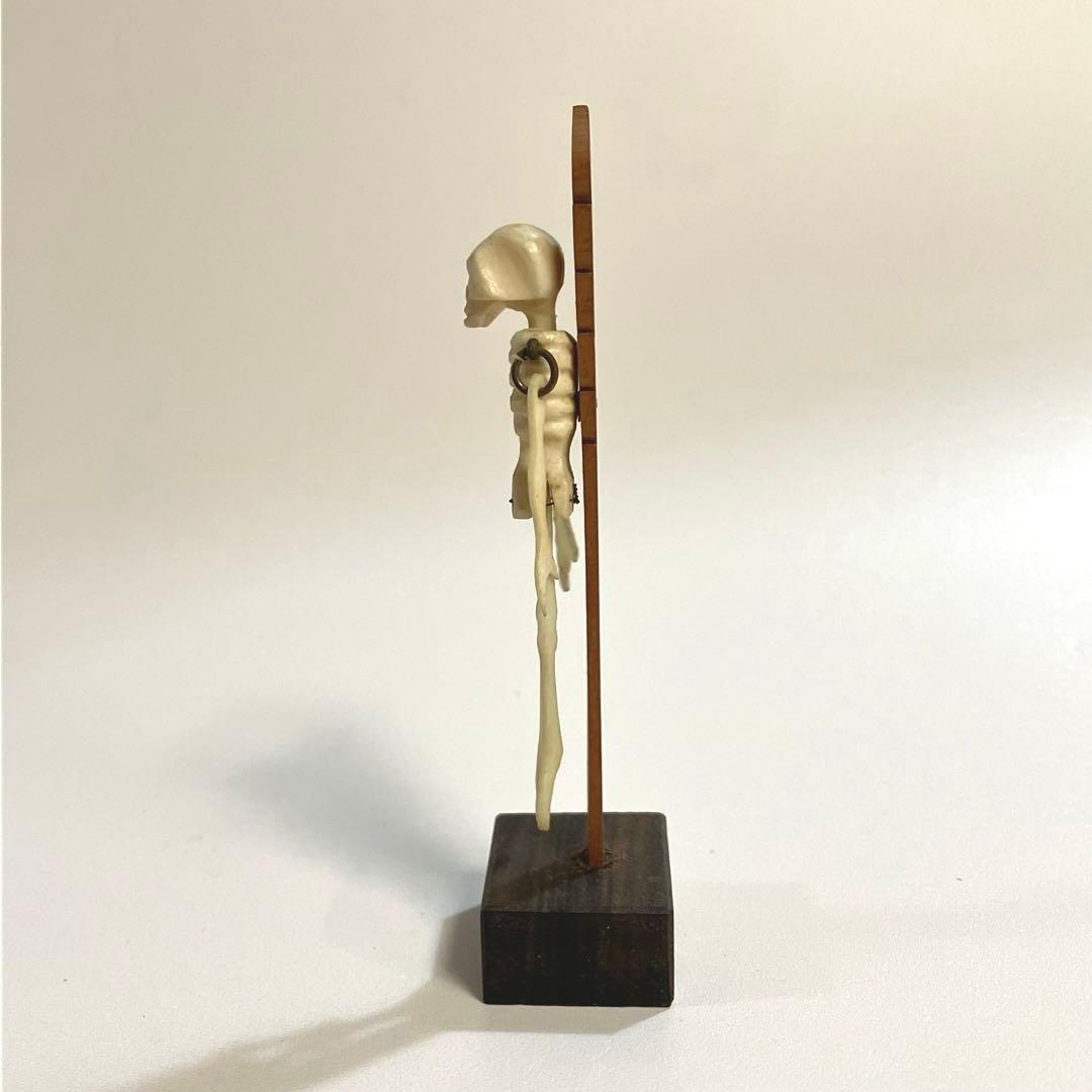 昭和レトロ　ハードセル　野晒し　骸骨　髑髏　ドクロ　ガイコツ人形　郷土玩具　民芸