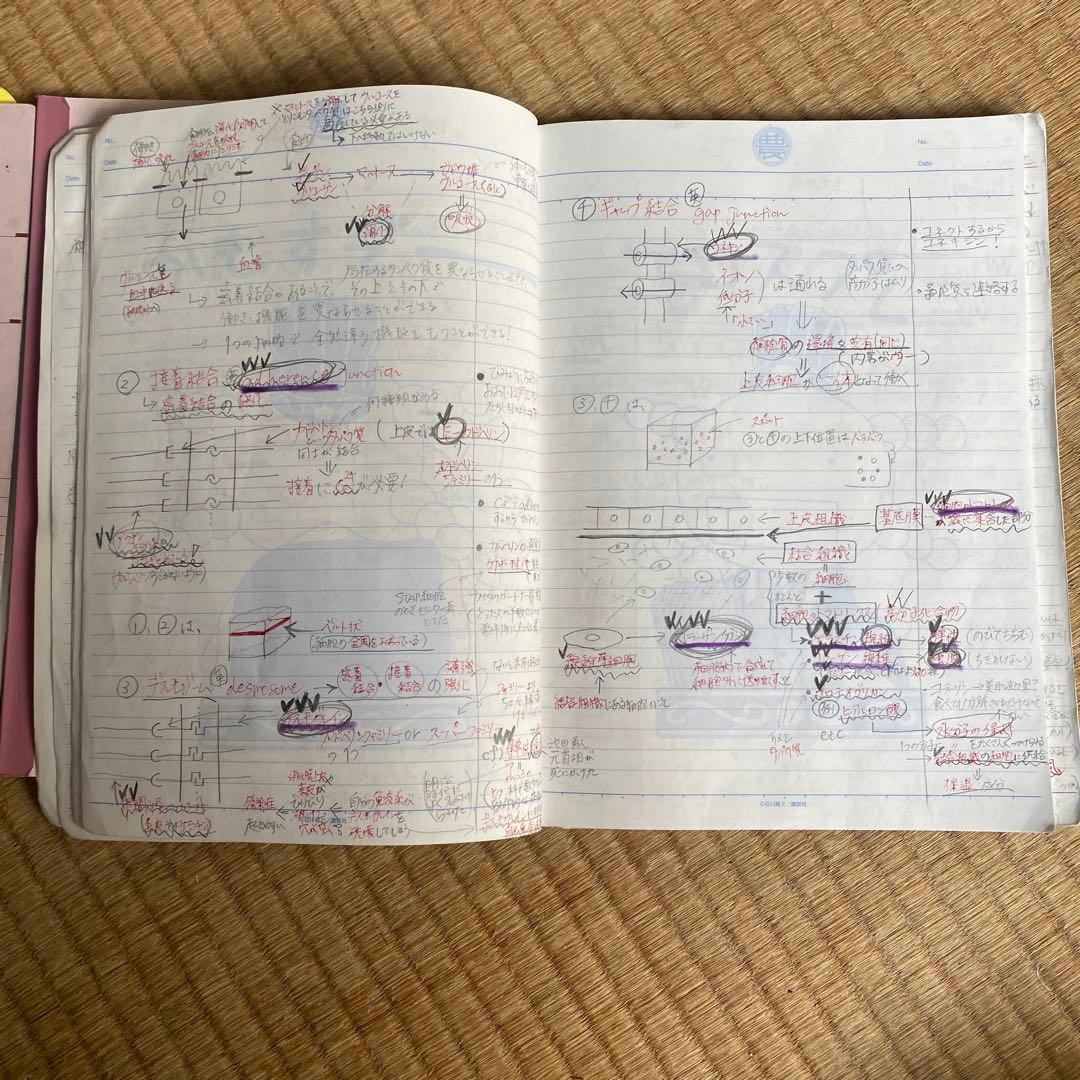 生命科学 KALS 基礎シリーズ 2023年度医学部学士編入 【板書ノート付き】