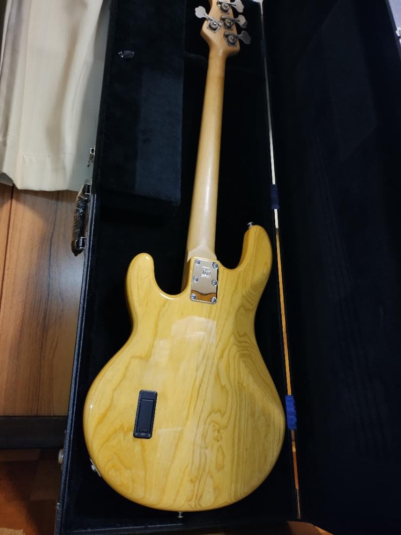 ☆Music Man / StingRay EX☆