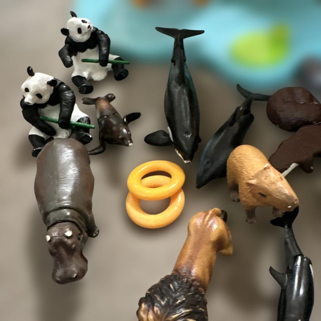 アニア　アニマルアドベンチャー　フィギュア