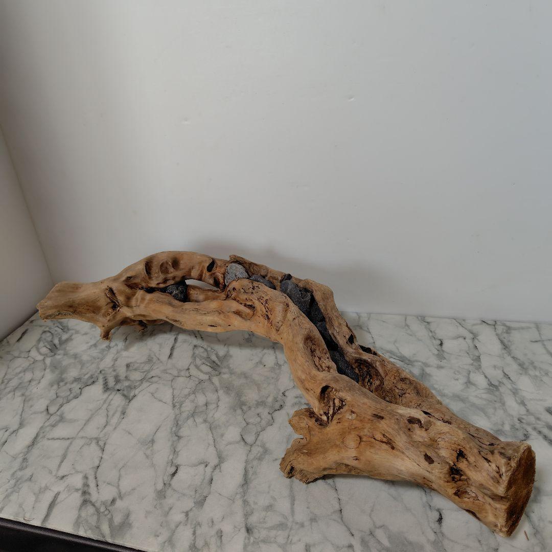 アク抜き済み流木【858】セール