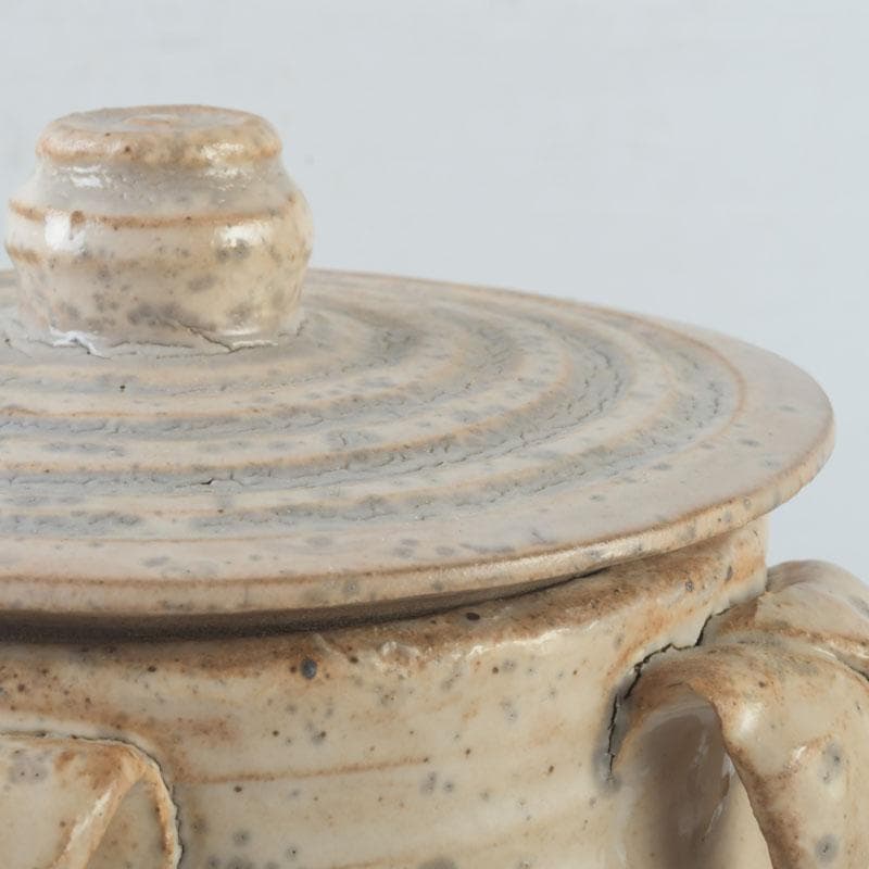 中国　磁州窯　鉄絵　花草文　高麗水指　共箱　V　9891A