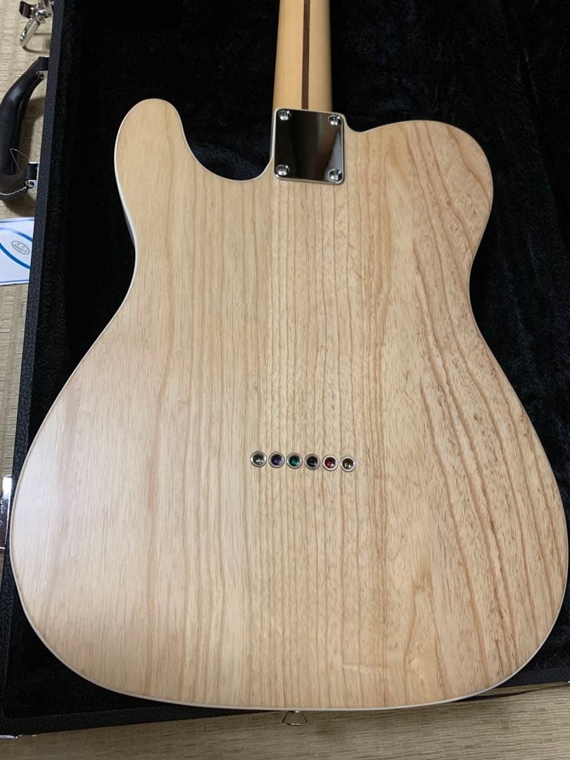 ギター Fender JAPAN ART CANVAS HIROSHI NAGAI