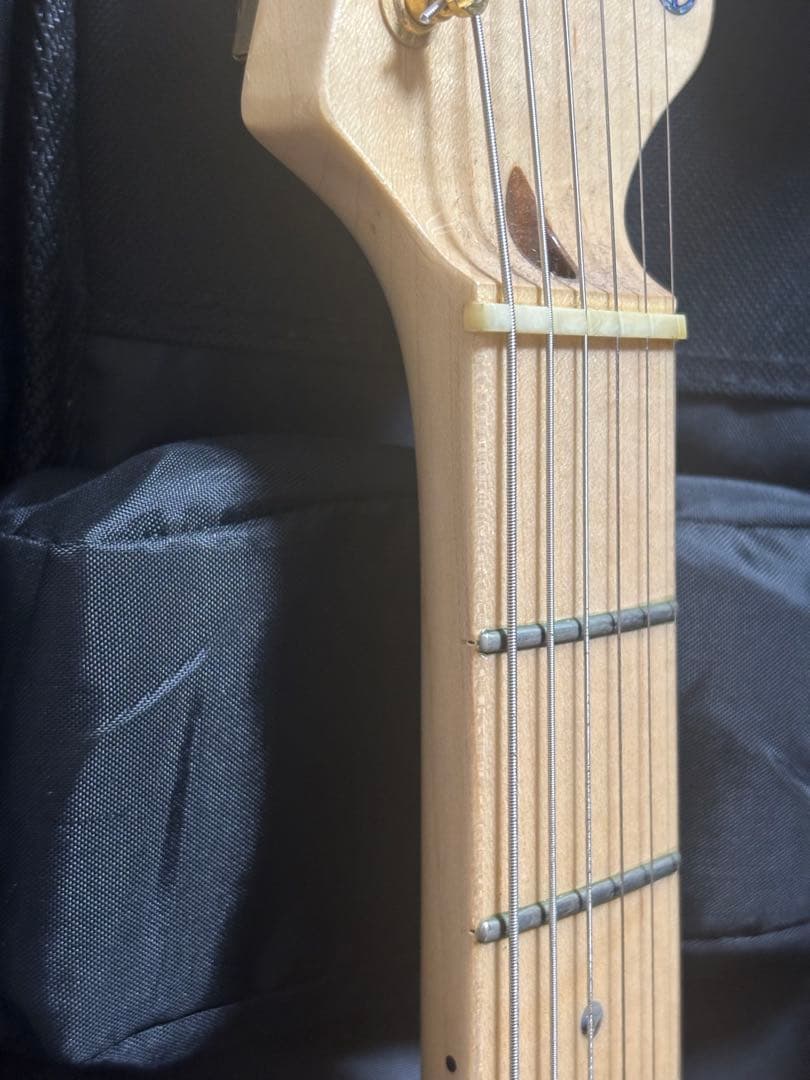 ギター Fujigen EXPERT OS