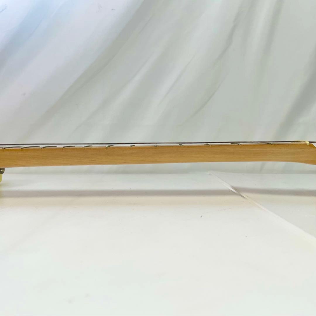 ◎ Bacchus UNIVERSE Series テレキャスター エレキギター