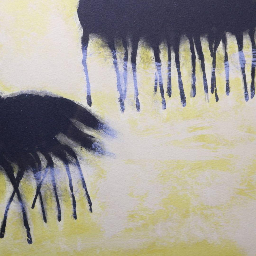 『ソミュールの黒い馬』Andre Brasilier リトグラフ 石版画 額装