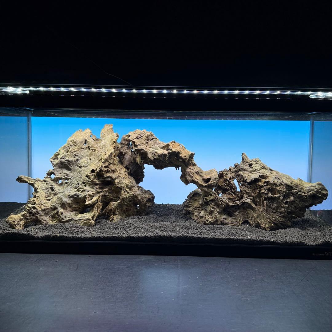 MJW-7236 「特大」ジンジャーウッド　90cm水槽用　天然流木3本セット