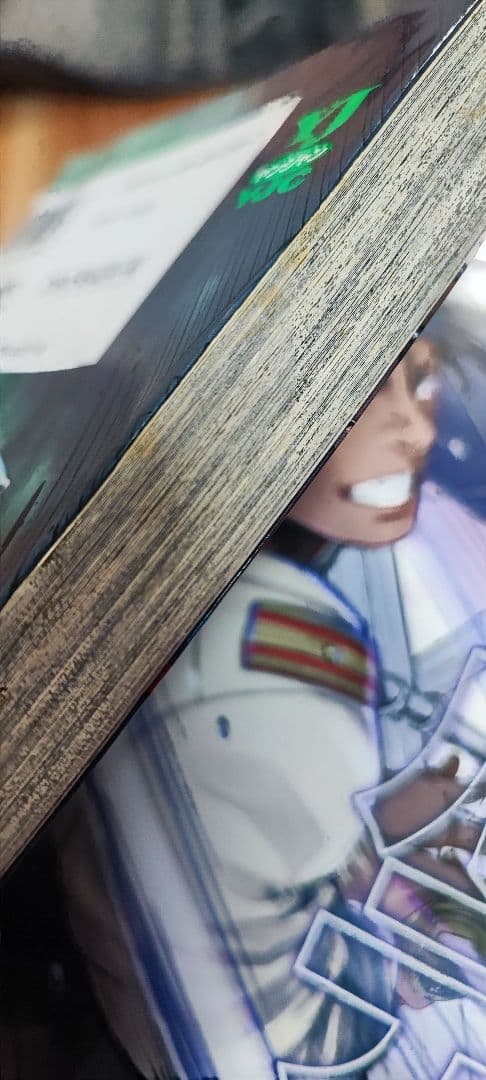 ゴールデンカムイ 31巻 全巻