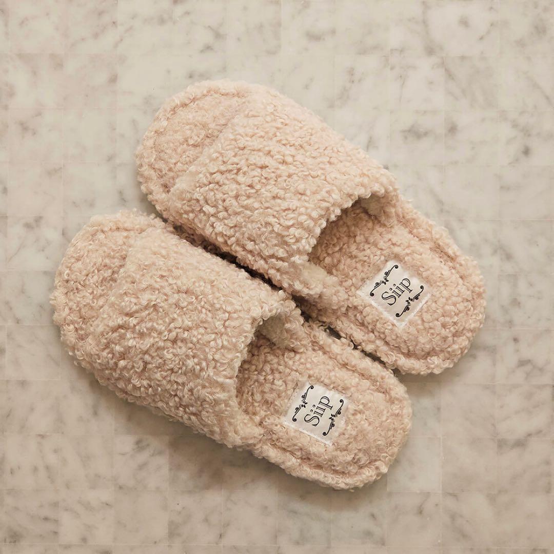 【Siip】ガイヤ　完全生産限定盤　GOODS(BOXあり)