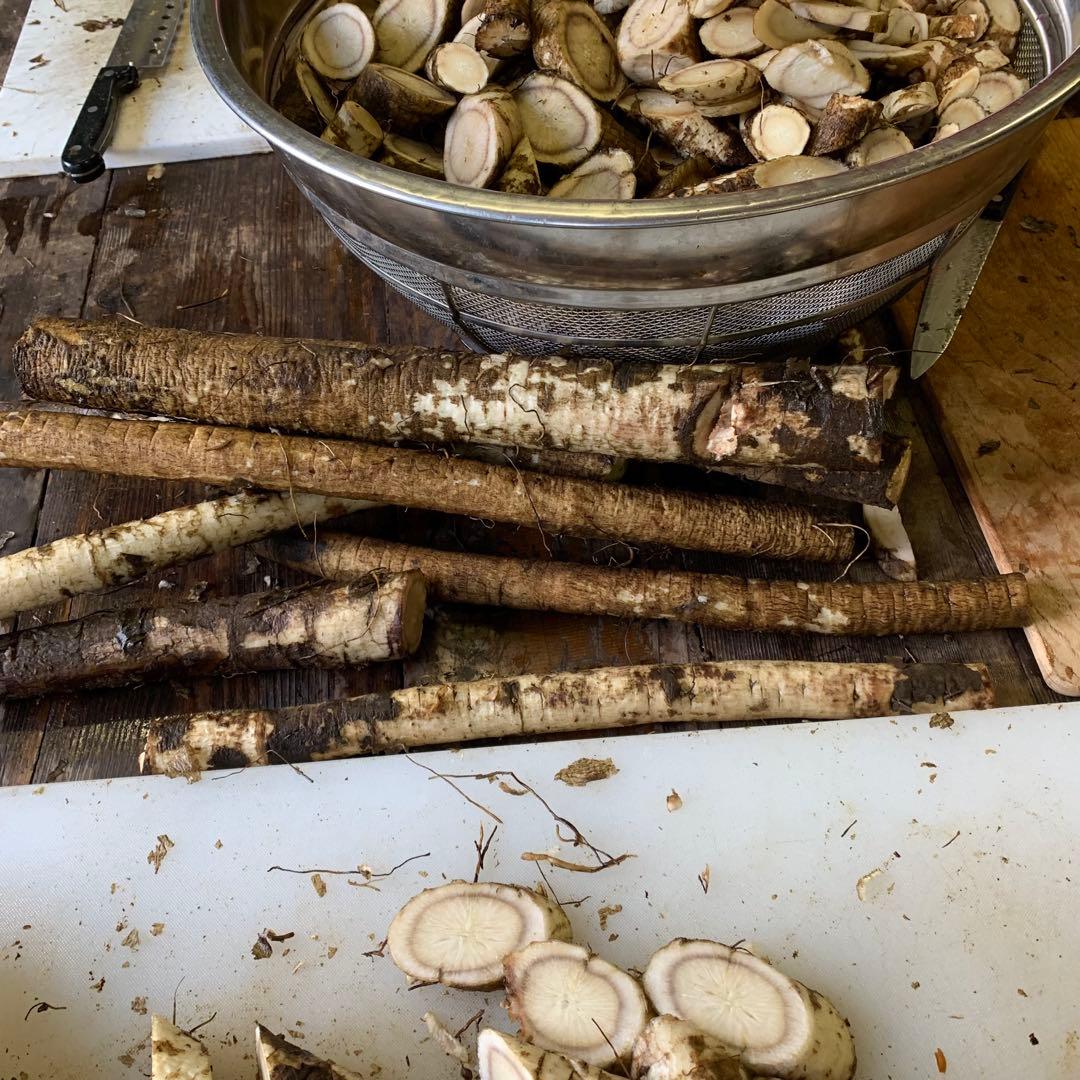 有機栽培ごぼう使用 自家焙煎ごぼう茶 100g